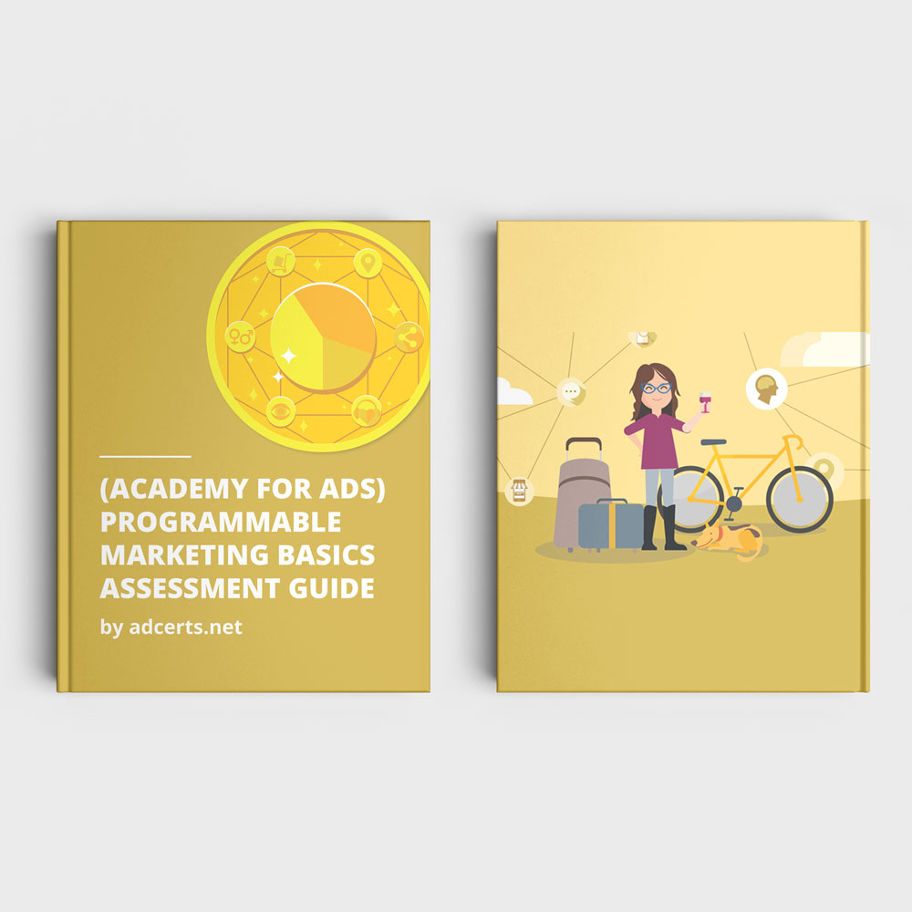 Academy for Ads - Programmable Marketing Basics Assessment Answers by adcerts.net